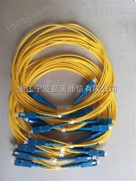 12芯束状尾纤SC APC 电信级别单模 1.5米 可定做接头