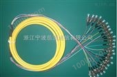 FC UPC12芯束状尾纤 跳线 * 质量保证 全测产品