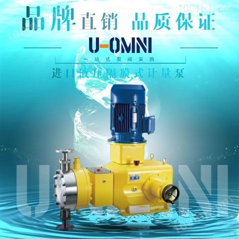 美国进口柱塞式计量泵--欧姆尼U-OMNI