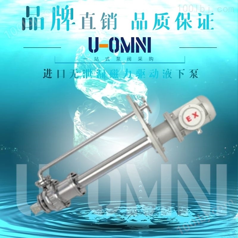 无泄漏双壳磁力液下泵--美国欧姆尼U-OMNI