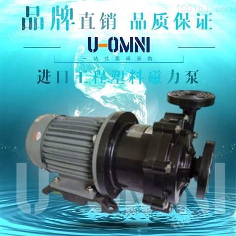 无泄漏双壳磁力液下泵--美国欧姆尼U-OMNI