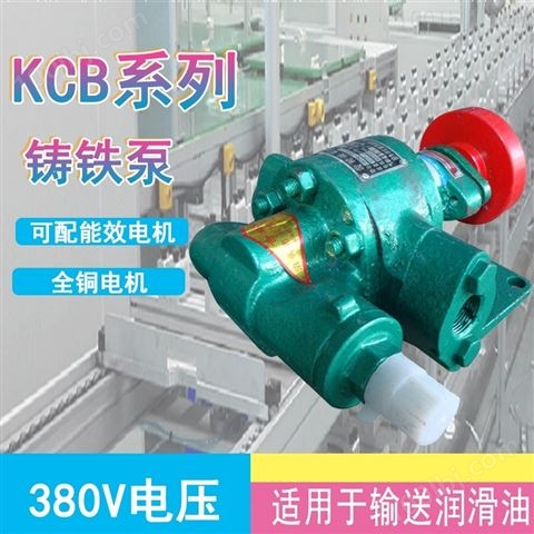 齿轮油泵KCB齿轮泵整机220V机油泵