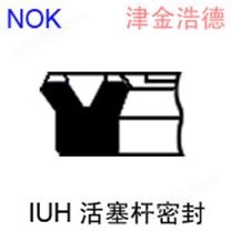 NOK IUH 活塞杆密封件(适用于低温油液；压力20.6MPA；适用起重油缸)