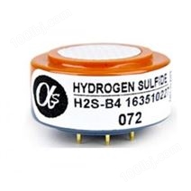 4电极硫化氢传感器H2S-B4