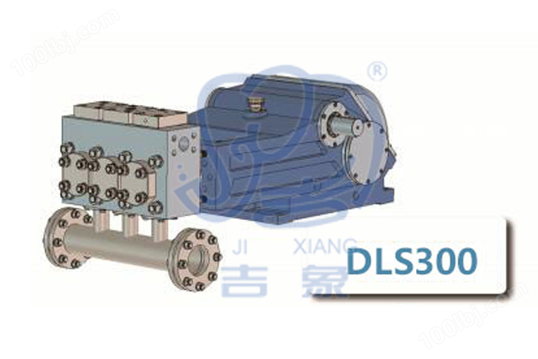DLS300高压清洗泵