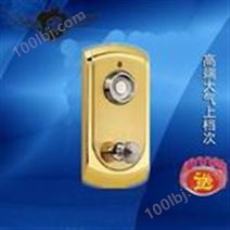 TM6008-金色智能浴室柜锁