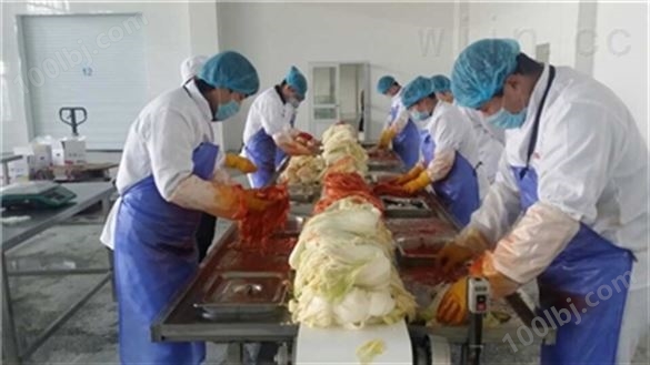泡菜加工设备泡菜抹料台供应商 泡菜机械