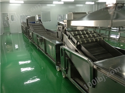QD启东专业供应蔬菜清洗设备多年 质量可靠