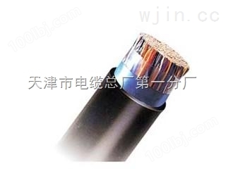 WDZR-HYA 500*2*0.4 阻燃电缆